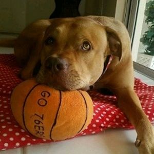 Meet your Posher, Jay